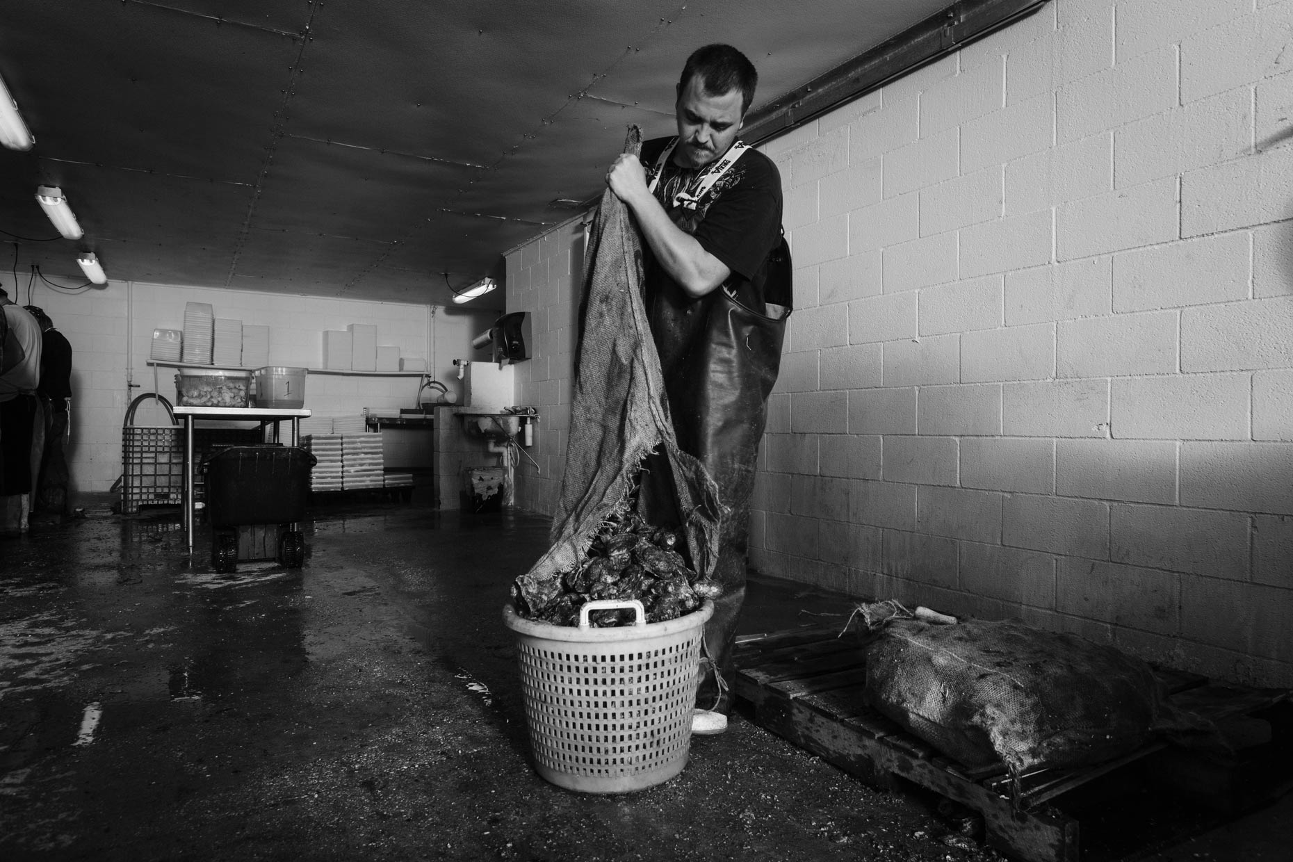 New Orleans Photojournalist and Editorial Photographer Edmund D. Fountain - Coastal Oyster Industry