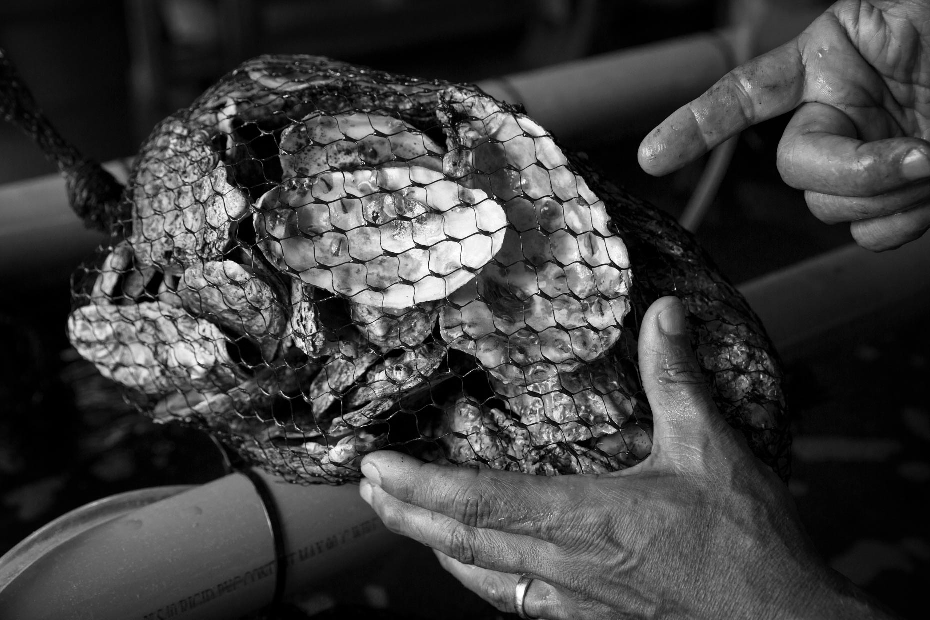 New Orleans Photojournalist and Editorial Photographer Edmund D. Fountain - Coastal Oyster Industry